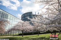 中阳期货欧洲议会选举英自民党推新口号:＂脱欧