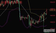 中阳期货10月31日黄金、原油操作策略