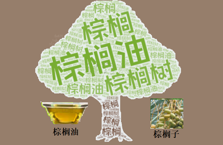 棕榈油期货价格飙升！全球食用油市场大对比，谁将称王？